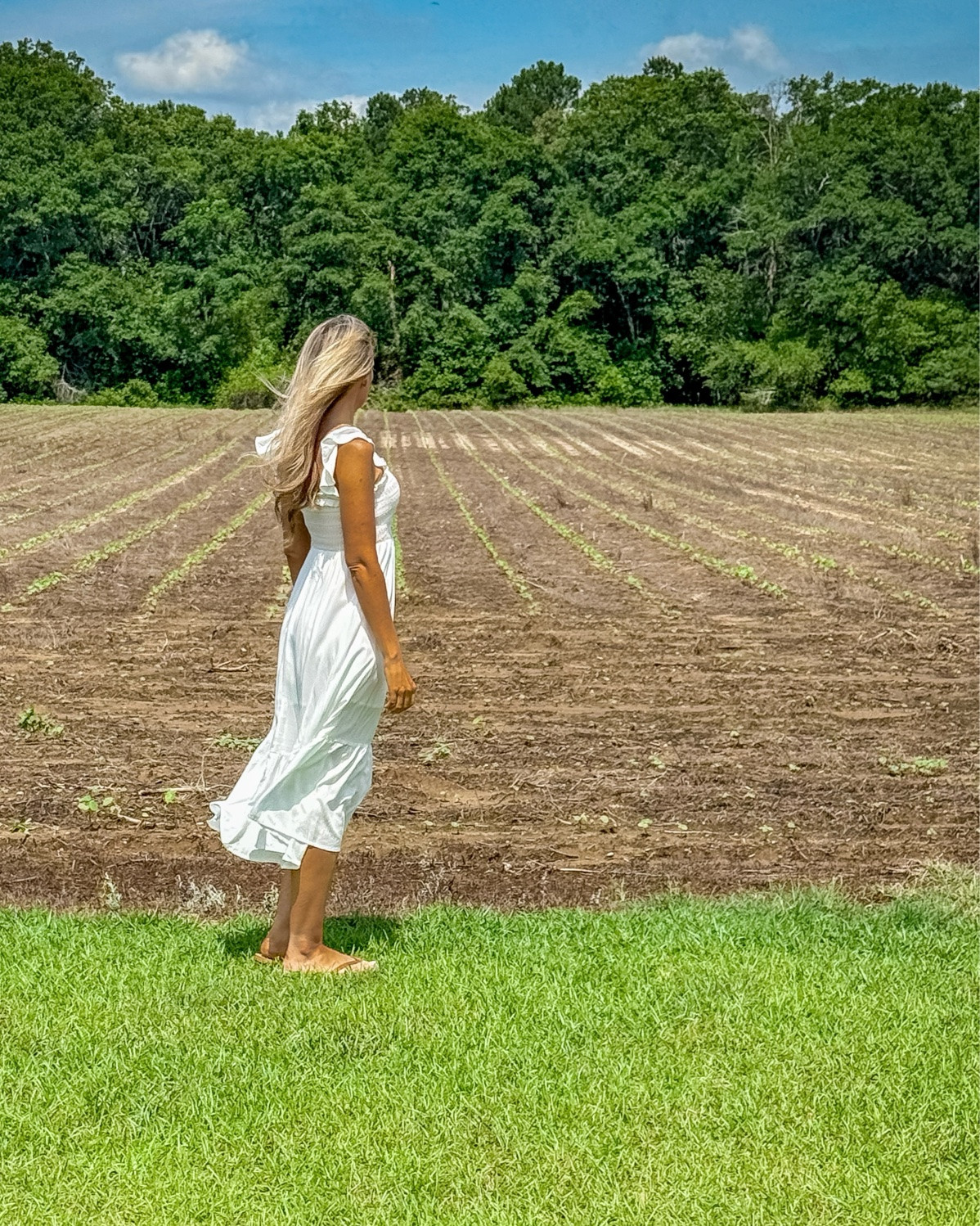 Peanut Sprouts 🌱 We have peanuts coming up at the farm! I’m in the cutest white midi dress Allegra K sent over! It has little ruffle straps. smocking, and is lightweight. Perfect for summer outfits, date nights, and vacations!🤍

They also sent over the cutest lavender puff sleeve blouse! I knotted it with high waisted shorts for a cute summer look. It comes in lots of colors and I linked some of my other favorites from this brand as well. 

I’m 5’4 34B and in an XS in both.🤍

Check out my blog & IG for more farm pictures and outfits.🫶🏽

Summer Dress
Midi Dress
White Dress
Summer Outfits
Summer Clothes 
Vacation Outfits Beach
Beach Dress
Date Night Outfits
Cute Dresses

#LTKPetite #LTKTravel #LTKootd