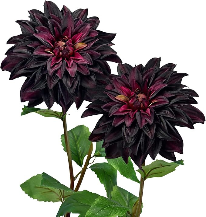 FiveSeasonStuff Artificial Flowers Dahlia Silk Flowers for Outdoors Indoors and Tall Vases 2 Stem... | Amazon (US)