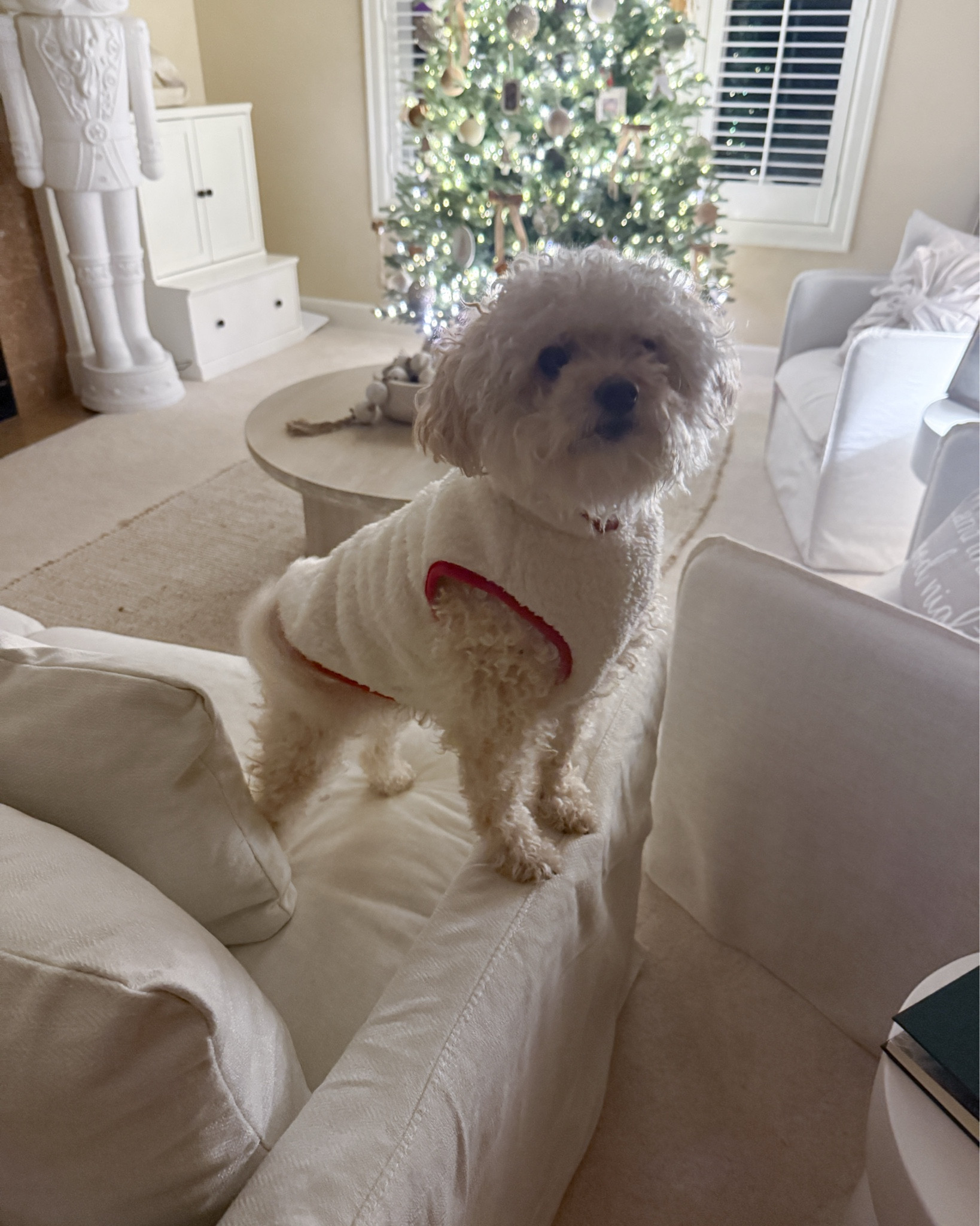 These are SUCH great doggy coats! We got the same ones last year! These are buy one get one 30 percent off! Hurry! 

#LTKCyberWeek #LTKHoliday #LTKGiftGuide