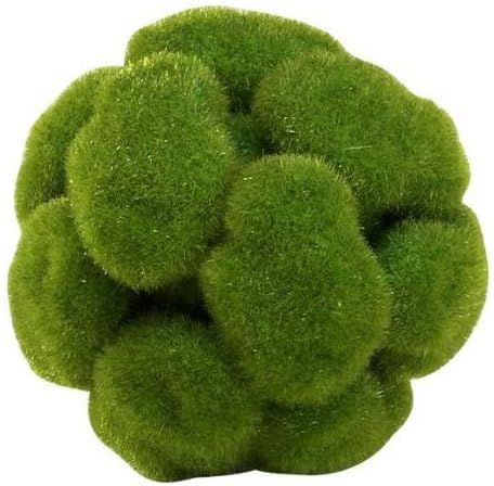 Cyan Design 02607 Moss Sphere, Small | Amazon (US)