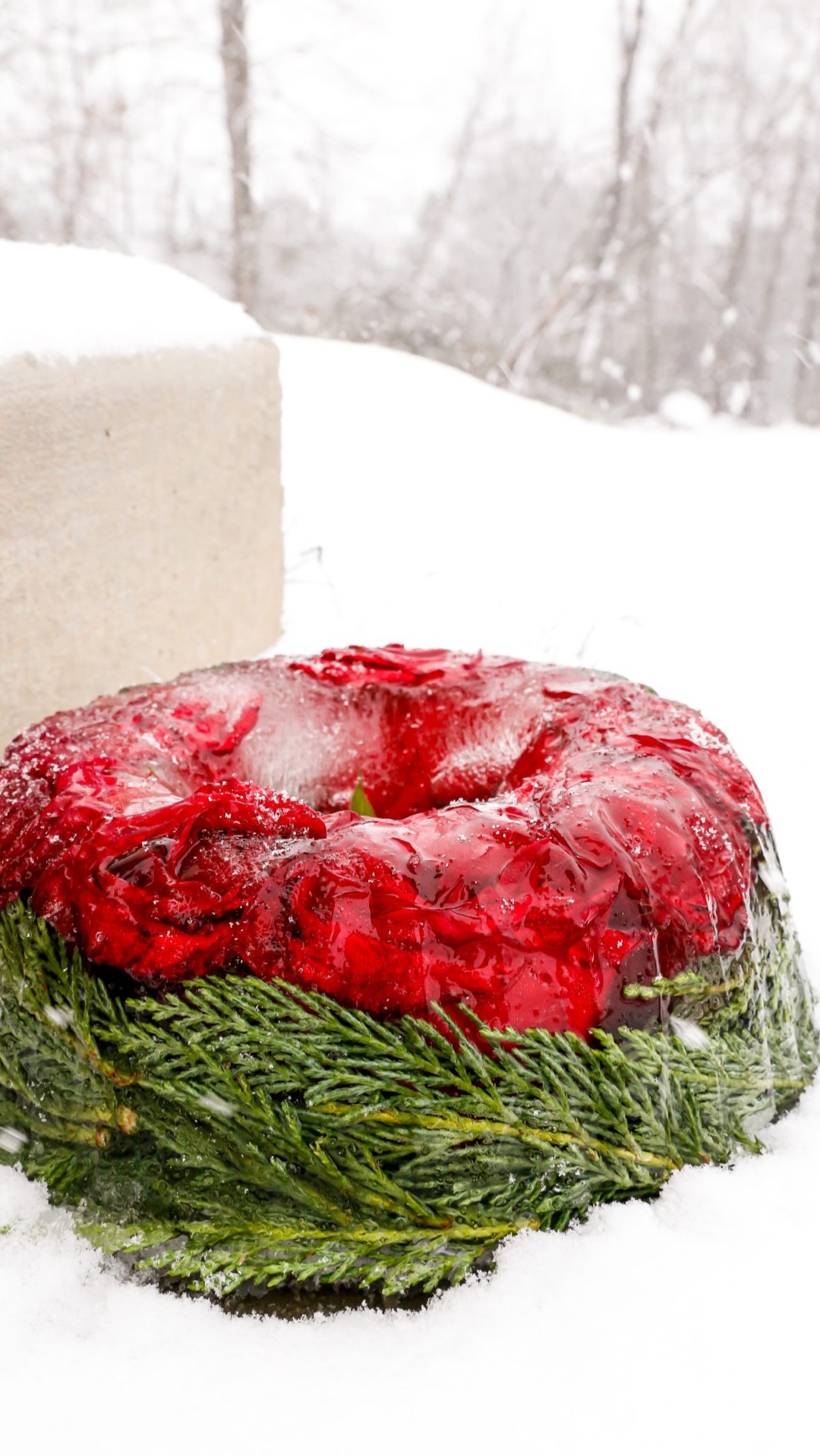 This Ice Rose Candle Holder is a beautiful outdoor winter candle holder, especially when it snows.

See details:
https://domesticallyblissful.com/ice-rose-candle-holder/

🔗 Join our newsletter:
https://domesticallyblissful.com/newsletter/ 

#LTKSeasonal #LTKHome #LTKFindsUnder50