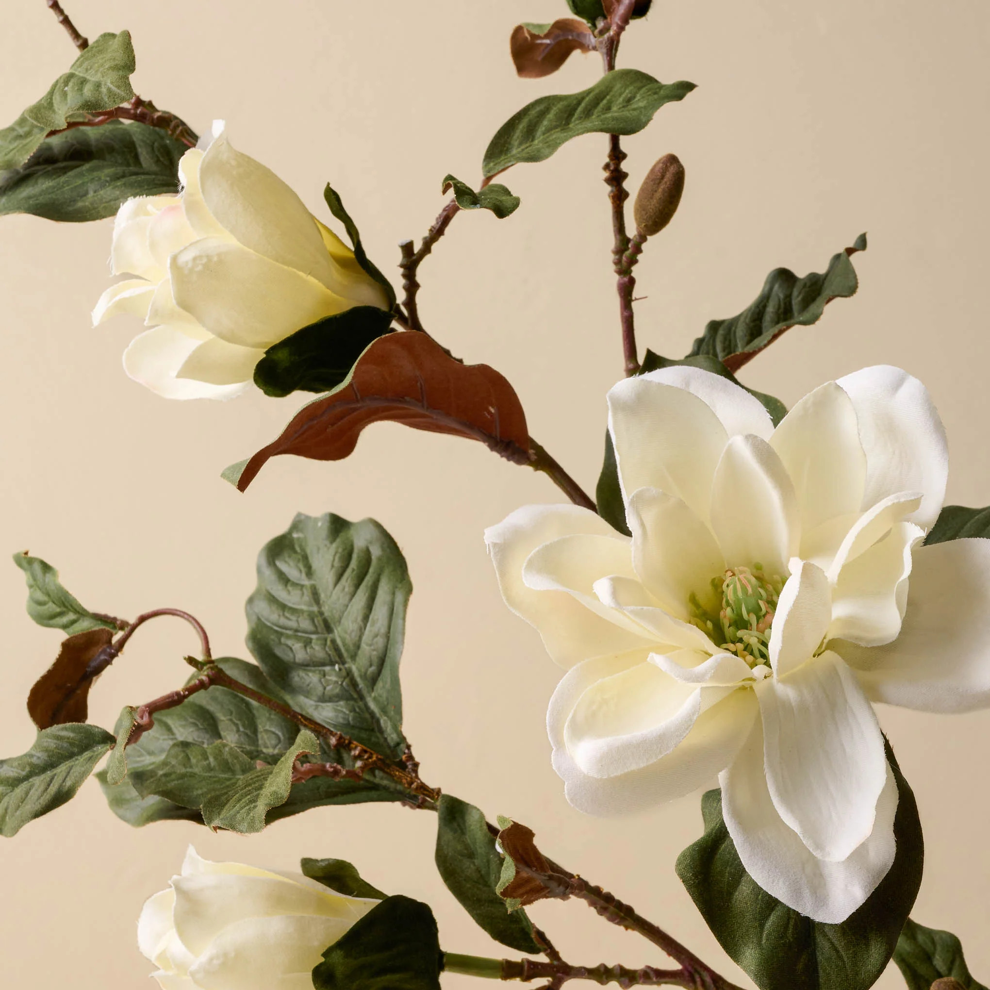 Magnolia Spray | Magnolia