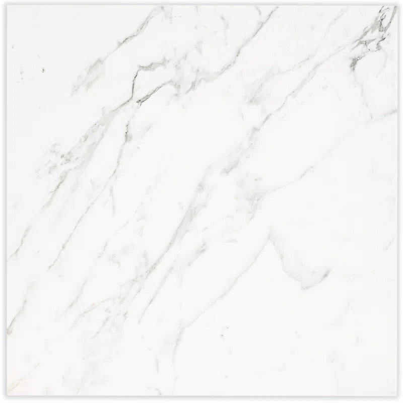Regallo 24" x 24" Marble Look Polished Porcelain Wall & Floor Tile | Wayfair North America