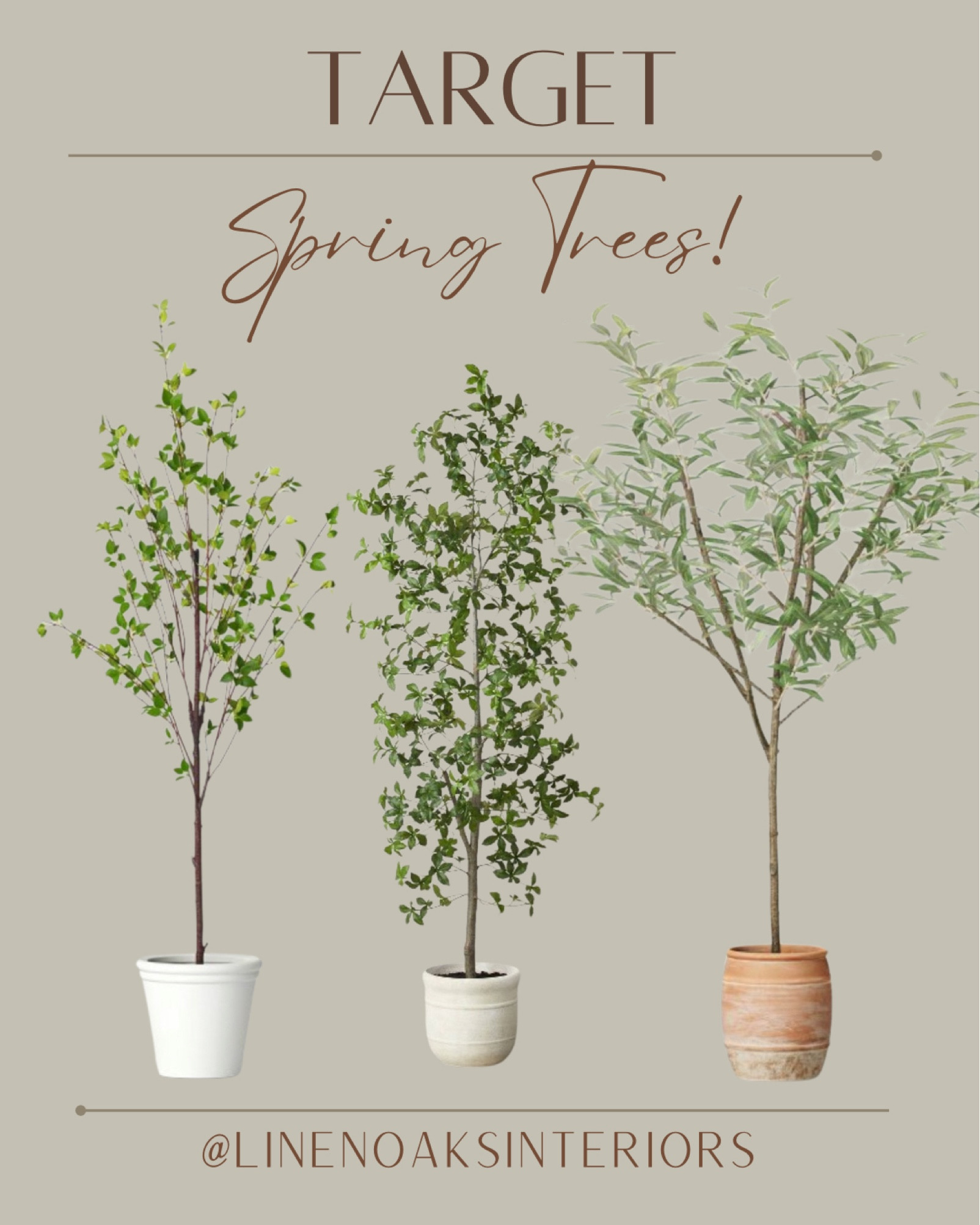Spring trees at target
Olive tree/ focus/ black olive tree/ faux tree/ trees 

#LTKfindsunder100 #LTKstyletip #LTKhome