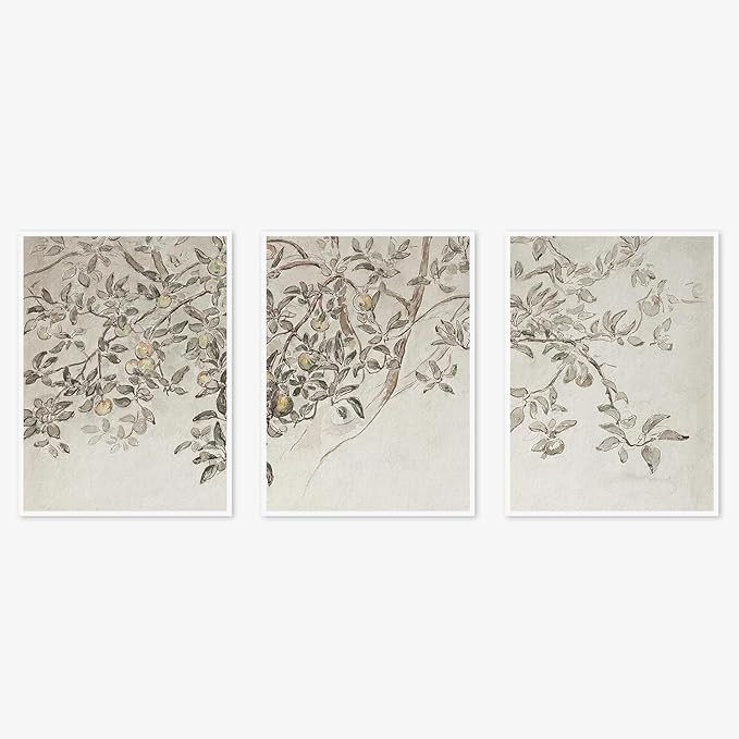 Set of 3 Vintage Apple Tree Sketch Art with Neutral Triptych Canvas Wall Art Print Gallery Wall R... | Amazon (US)