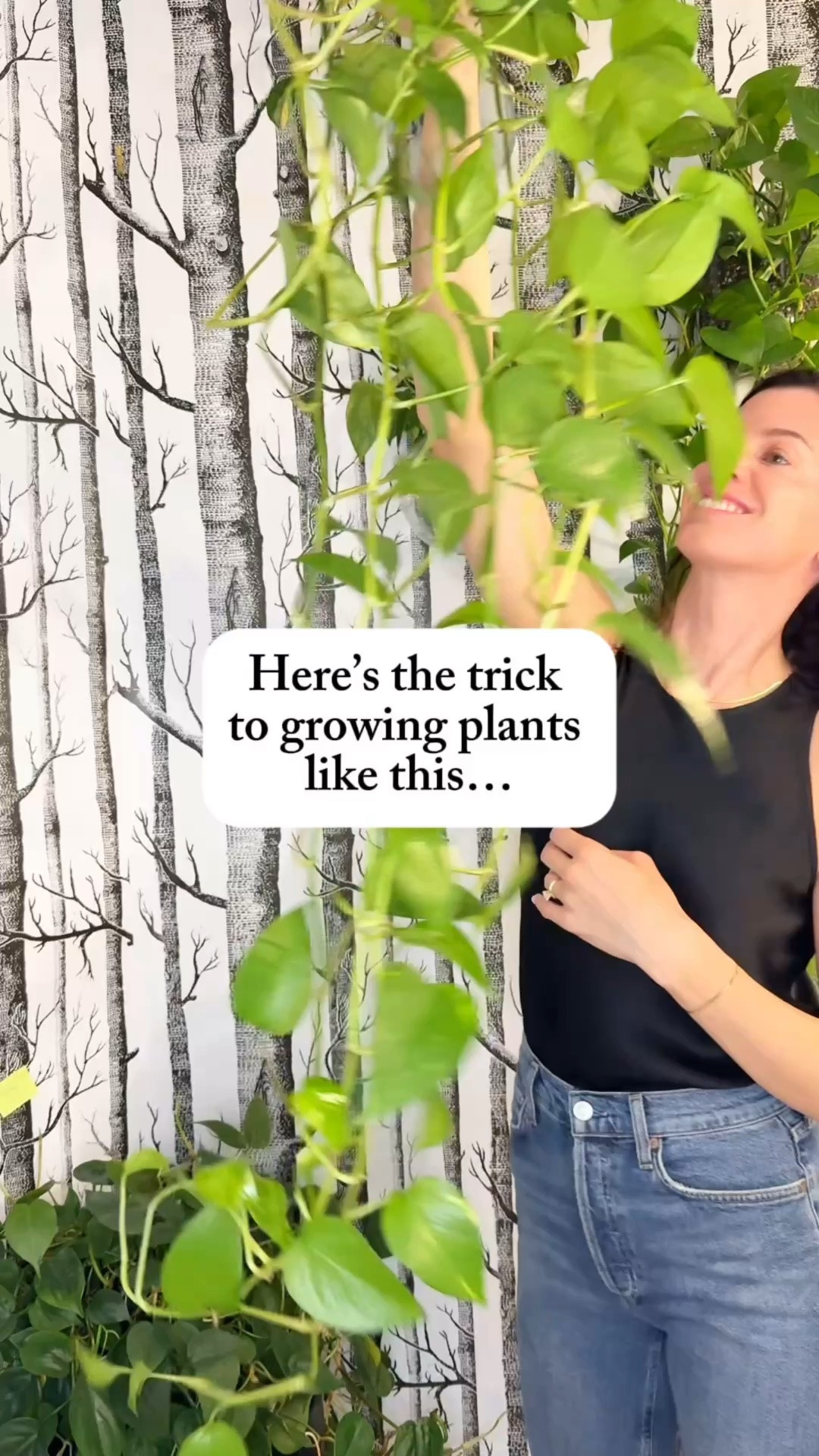 Who else has plants in spots that don’t quite get enough light? 🙋‍♀️🌿

The @barrina OG03C rechargeable grow light is such a smart solution. It’s full spectrum, attaches magnetically, has simple touch controls, and includes 3, 6, and 10 hour timer settings, making it incredibly easy to use.

I love that I can give my plants the extra light they need without being tied to an outlet or dealing with a bunch of cords.

Comment GLOW for the link! ✨

Use code JACQUELYNGROWS for 20% off on the Barrina website!

#houseplants #growlight #plantcare #indoorplants #plantlover

Barrina grow light | rechargeable grow light | cordless grow light | magnetic grow light | full spectrum grow light

#LTKHome #LTKdayinmylife #LTKOver40