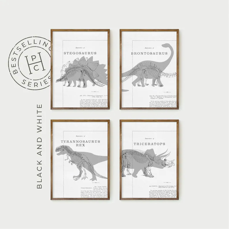 dinosaur wall art printable set of 4, stegosaurus print digital download, dinosaur gifts for kids... | Etsy (Global)