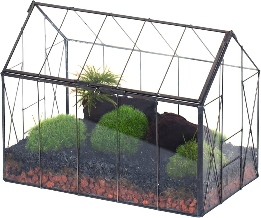 NCYP Geometric Glass Terrarium with Lid for Succulent, Small Cactus - Handmade Clear Closed House... | Amazon (US)