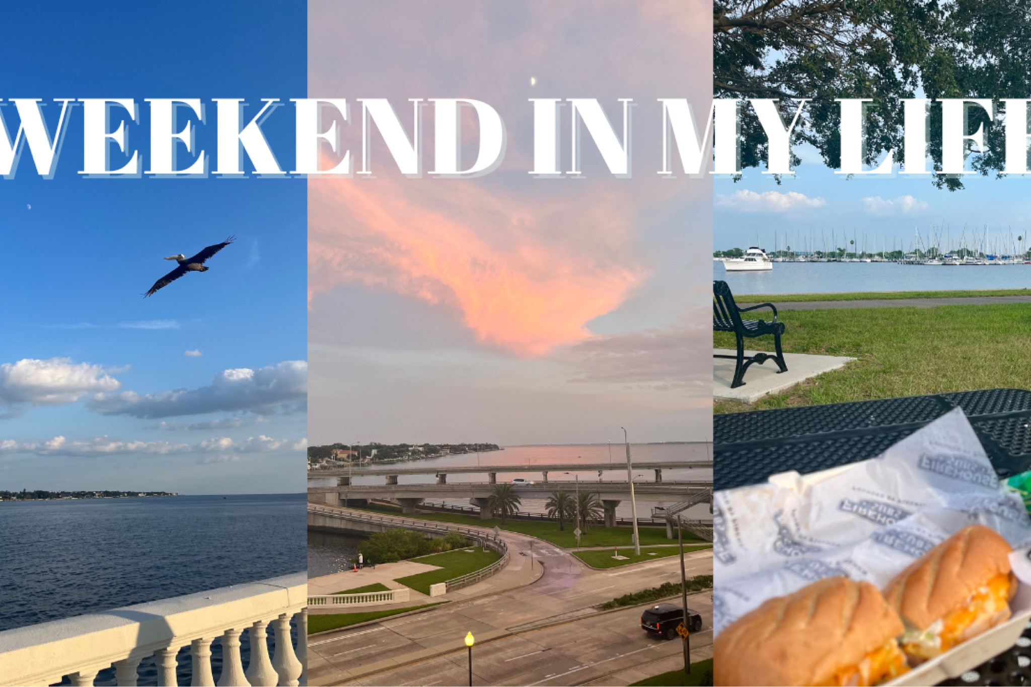 Weekend In My Life Vlog links. We ordered the 71x28 size mirror. Wearing a M in all Set Active pieces (TTS)  

Set active
Workout set 
Athletic set
Sports bra
Biker shorts 
Gold mirror
Gold floor length mirror 
Floor length mirror
Full body mirror 

#LTKstyletip #LTKfindsunder100 #LTKfitness