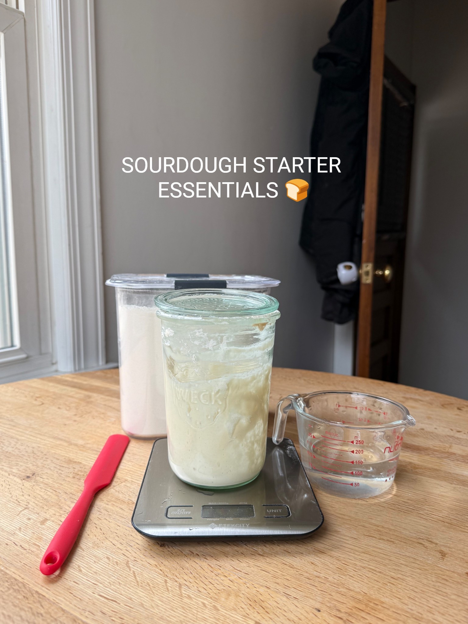 Sourdough starter essentials!!!! #sourdough #sourdoughstarter #sourdoughtools 

#LTKSeasonal #LTKHome #LTKGiftGuide