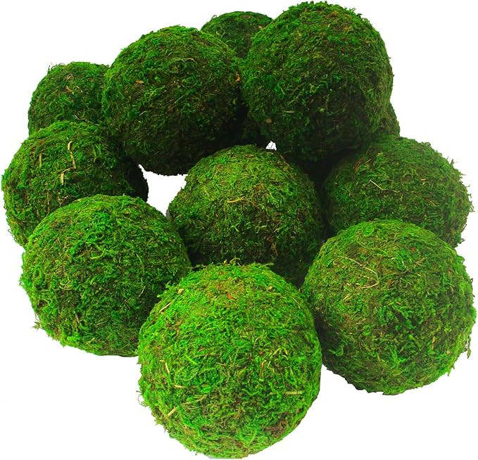 AMEICE Moss Balls Decorative Authentic Real Preserved Moss Hanging Balls for Garden Patio Home Ta... | Amazon (US)
