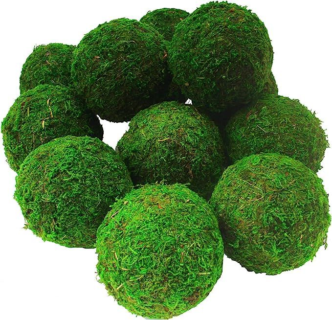 AMEICE Natural Green Moss Balls Decorative Authentic Real Preserved Moss Hanging Balls for Garden... | Amazon (US)