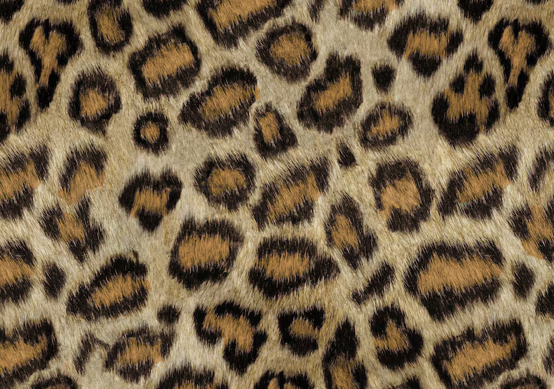 Leopard Peel N Stick or Traditional Wallpaper Made in the USA Vinyl-free Non-toxic - Etsy | Etsy (US)