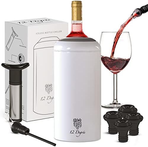 12 Degrés Iceless Wine Chiller Set - Perfect Wine Gifts for Women and Men Including Stainless St... | Amazon (US)