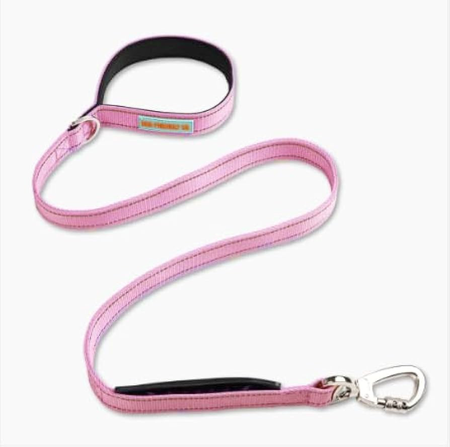DF Co. Classic Dog Leash | Strain-Free, Shock Resistant, Prevents Jolts, Maintain Control | Durab... | Amazon (US)
