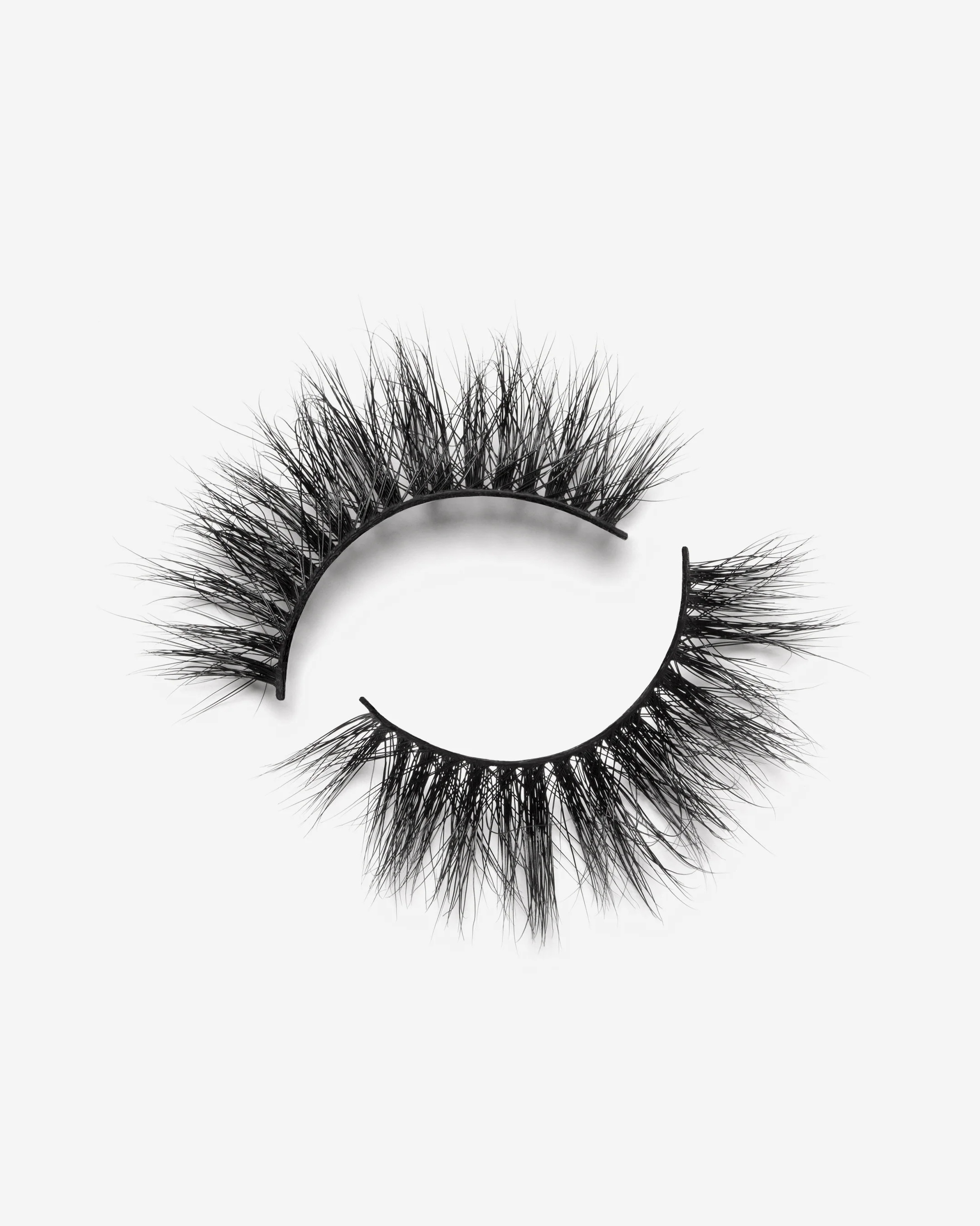 Hollywood | Lilly Lashes