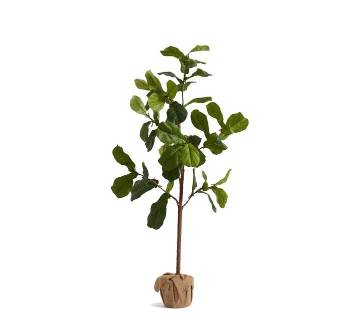 Faux Potted Fiddle Leaf Fig Tree, Medium - 5.4ft | Pottery Barn (US)