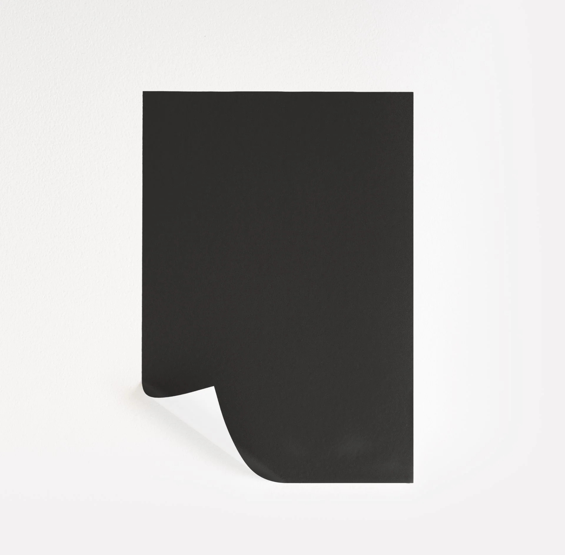 Black Beauty Paint Sample by Benjamin Moore (2128-10) | Peel & Stick Paint Sample | Samplize