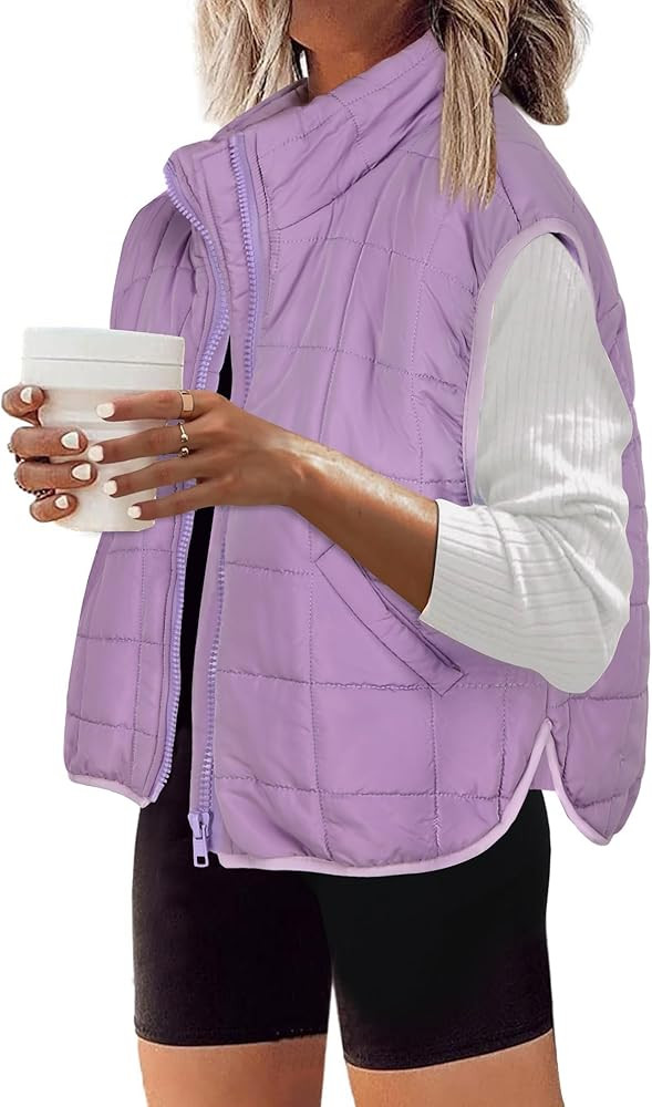 Zeagoo Womens Puffer Vest Ladies Sleeveless Zip Up Outerwear Warm Puffer Lightweight Down all Win... | Amazon (US)