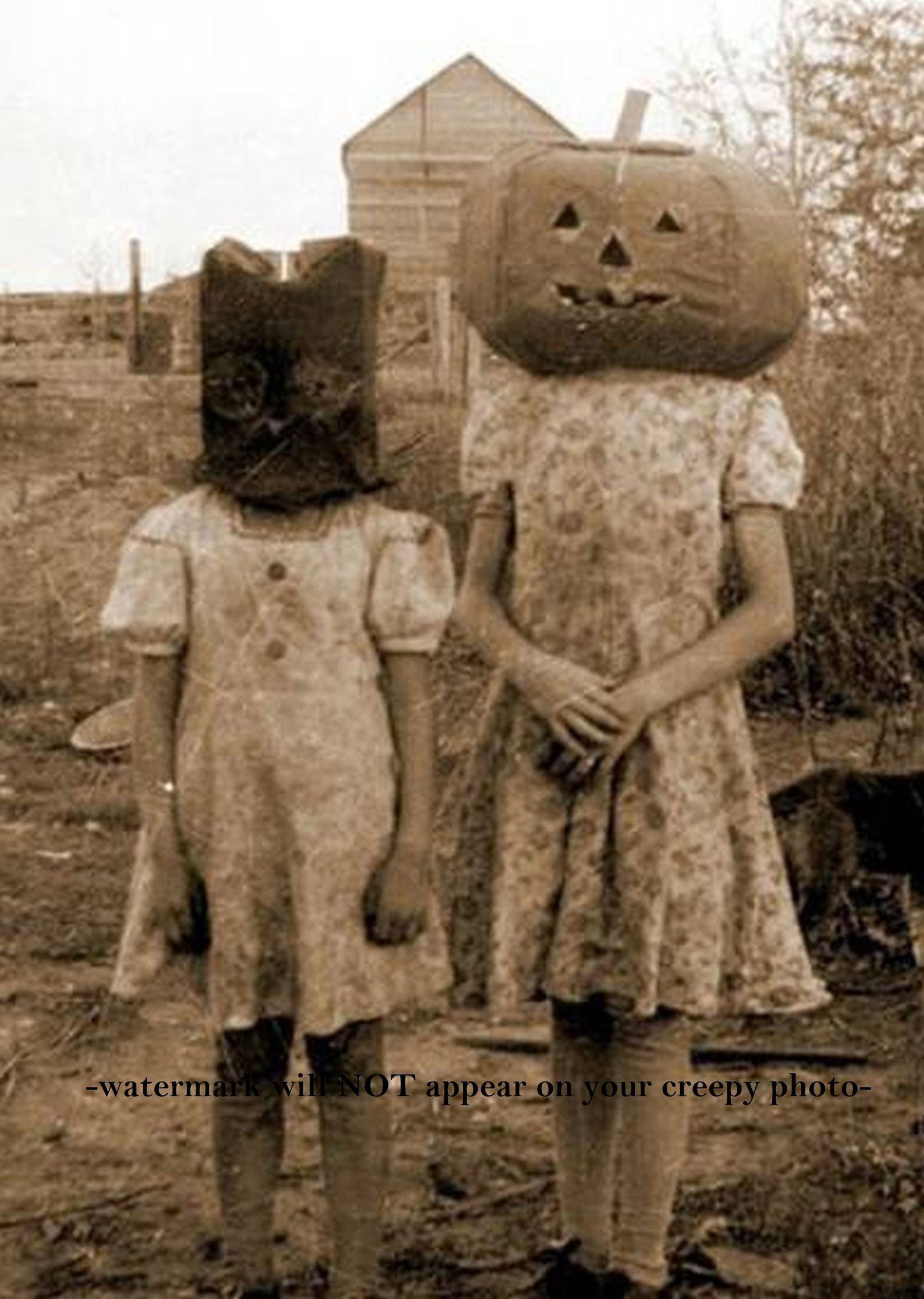 4x6 Vintage Creepy Children Halloween PHOTO Pumpkin Head/owl - Etsy | Etsy (US)