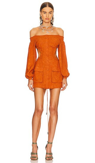 Lily Mini Dress in Toffee Brown | Revolve Clothing (Global)