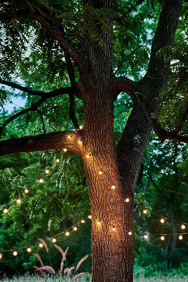 Stargazer Garden Lights Socket Strand, 20' | Anthropologie (US)