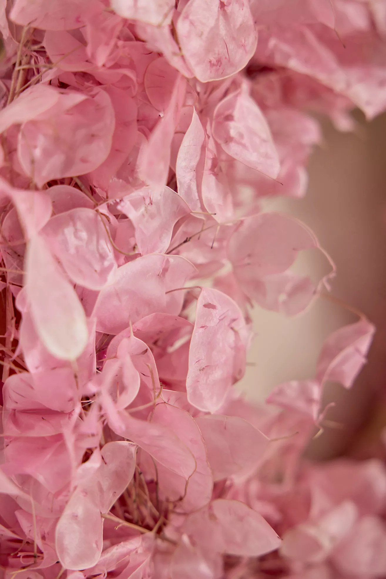 Terrain | Anthropologie (US)
