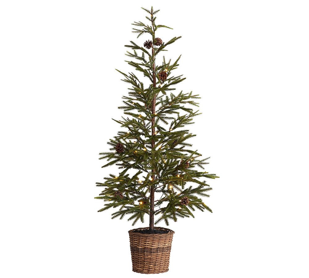 Lit Faux Pine Trees in Basket | Pottery Barn (US)