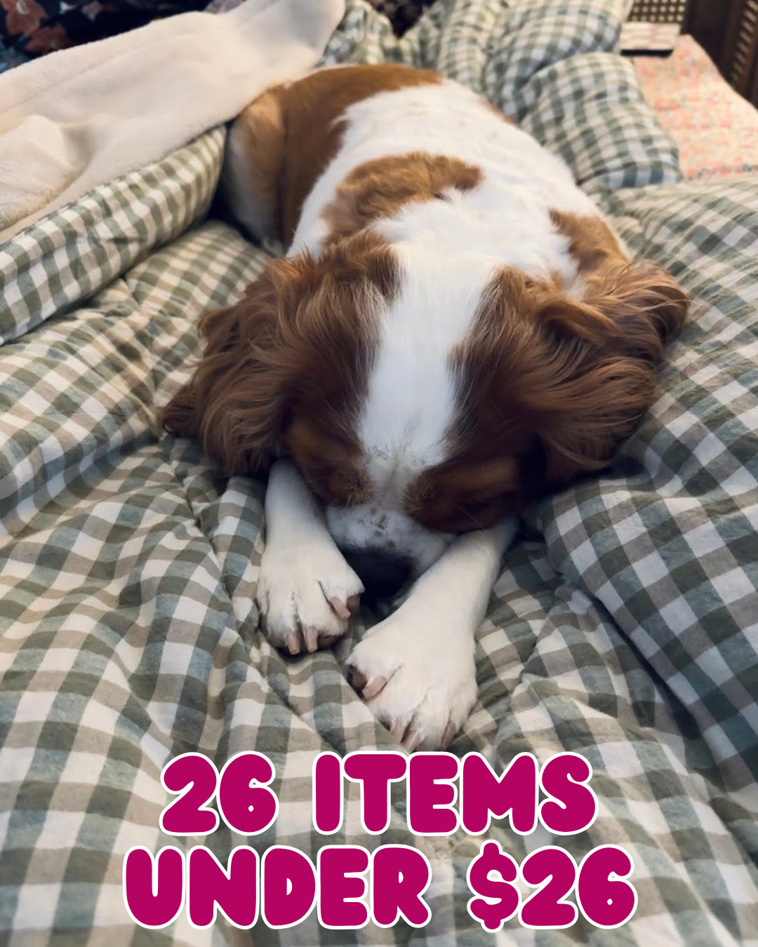 Piper is having a really hard time adjusting to our school schedule, so she’s getting lots of extra love and snuggles when we get home. Sharing today’s roundup of 26 fun finds—all under $26! ✨  

 #LTKSaleAlert