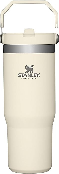 STANLEY IceFlow Stainless Steel Tumbler with Straw - Vacuum Insulated Water Bottle for Home, Offi... | Amazon (US)