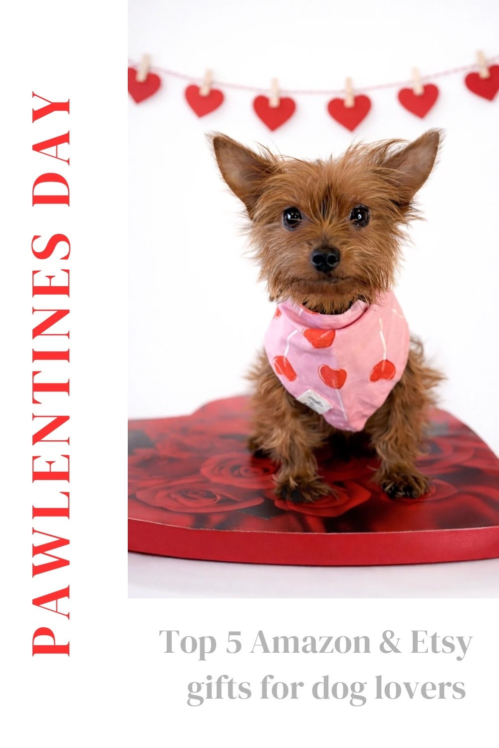 It’s the week of love! Shop for your favorite dog mom who deserves to feel special #LTKPets #LTKDogs 

#LTKValentine

#LTKValentine #LTKvlog