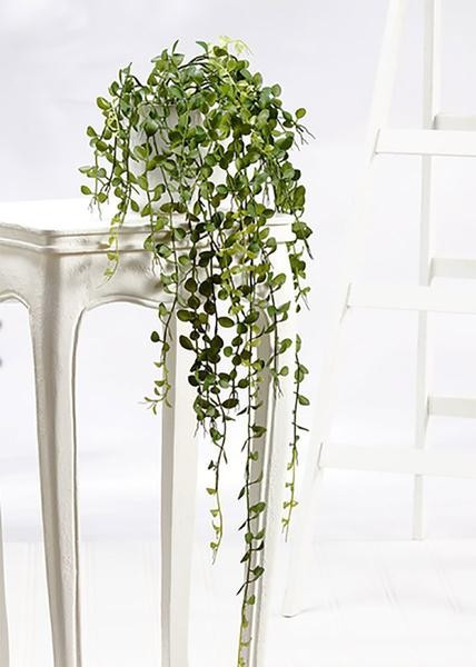 Artificial Button Leaf Hanging Plant - 40" | Afloral (US)