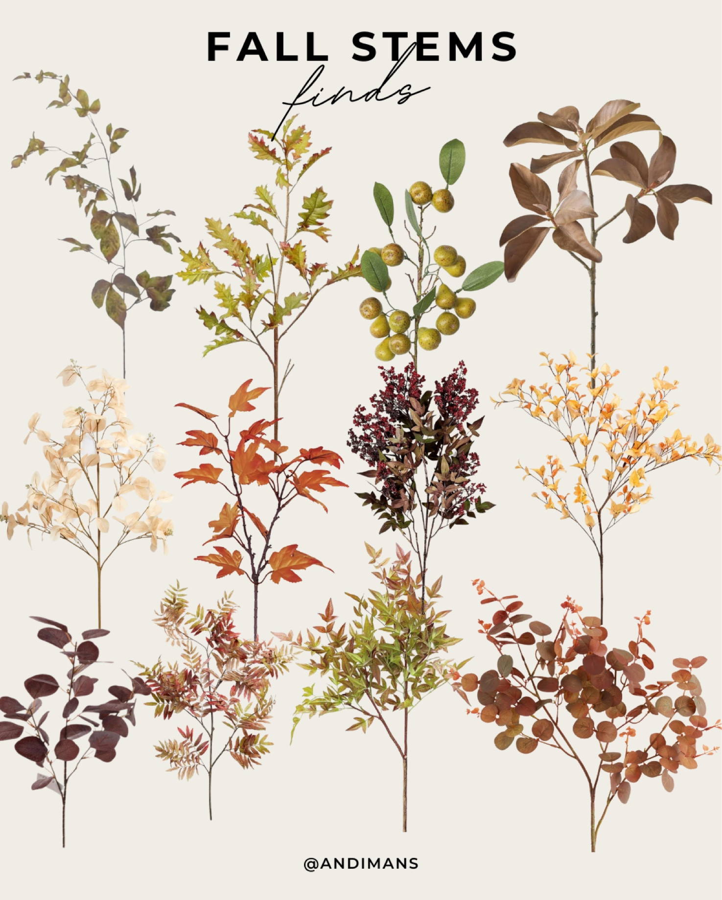 Fall stems I’m loving for your home this Autumn!

#LTKhome #LTKunder100 #LTKSeasonal