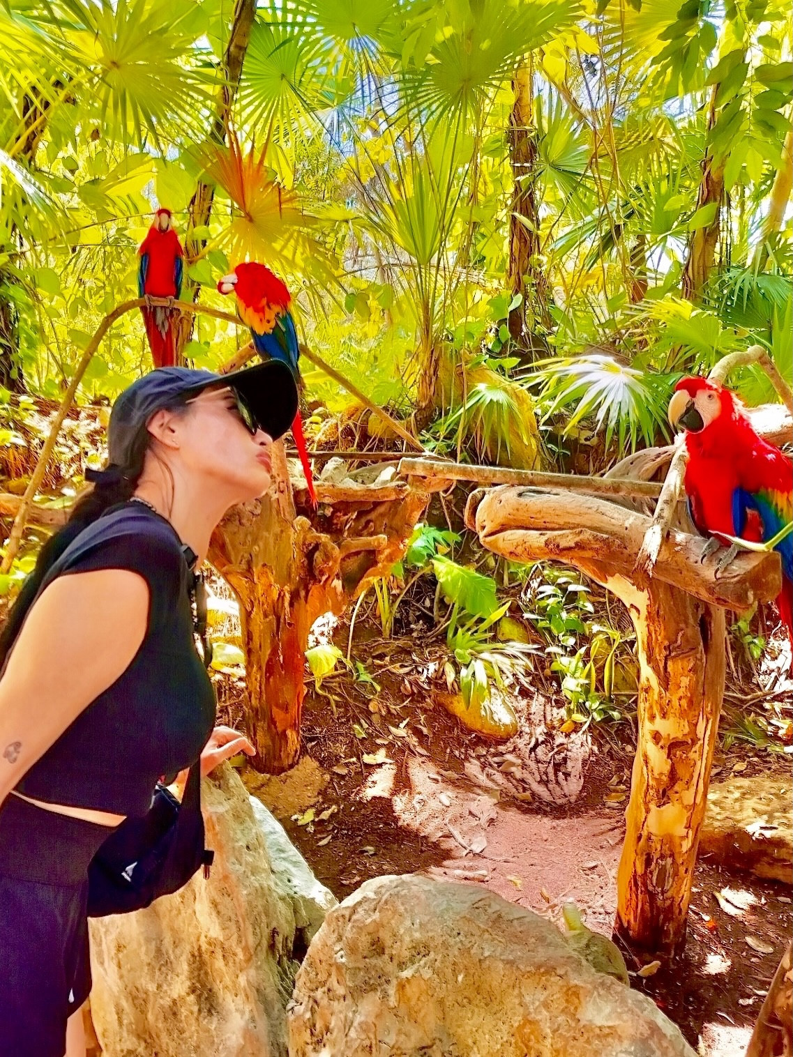 Whispers in Aviary 🦜