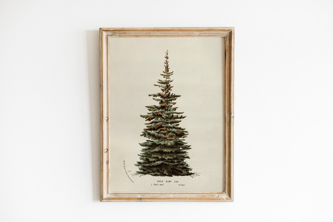 Neutral Christmas Tree Wall Art Vintage Printable Holiday Decor Rustic Winter Tree Print - Etsy | Etsy (US)