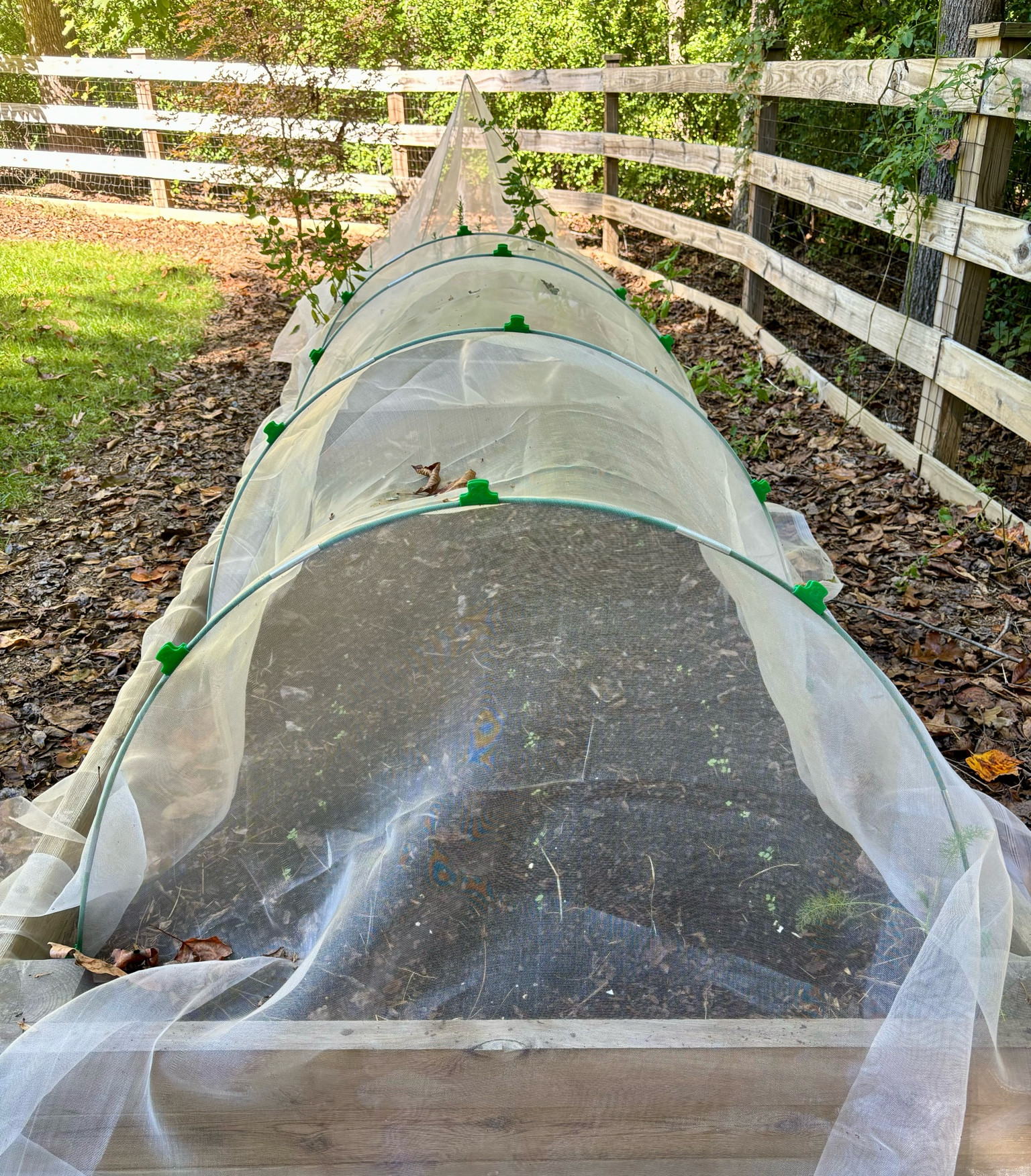 Grow tunnel to keep insects out of the garden bed. Use this for veggies that don’t need to be pollinated. 

#LTKFindsUnder50 #LTKHome #LTKSeasonal