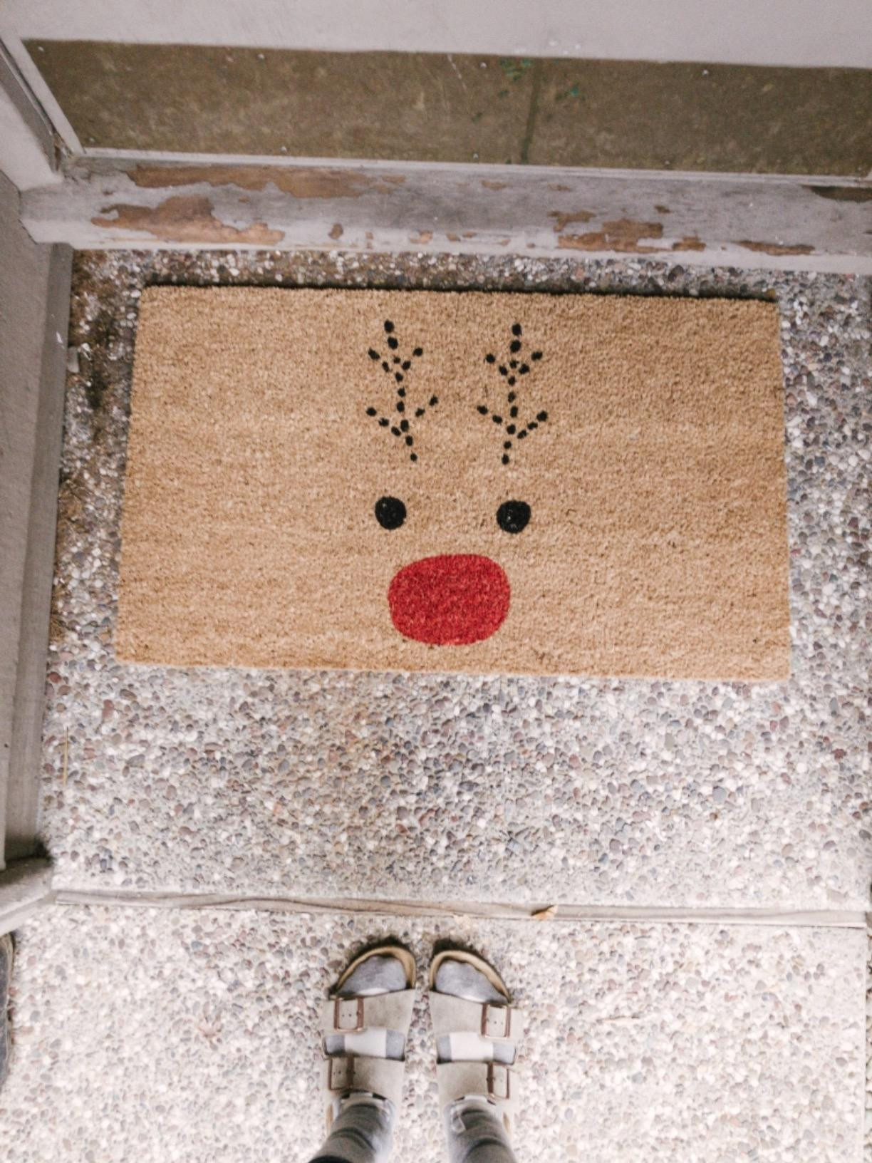 Calloway Mills 105011729 Rudolph Doormat, 17" x 29" | Amazon (US)