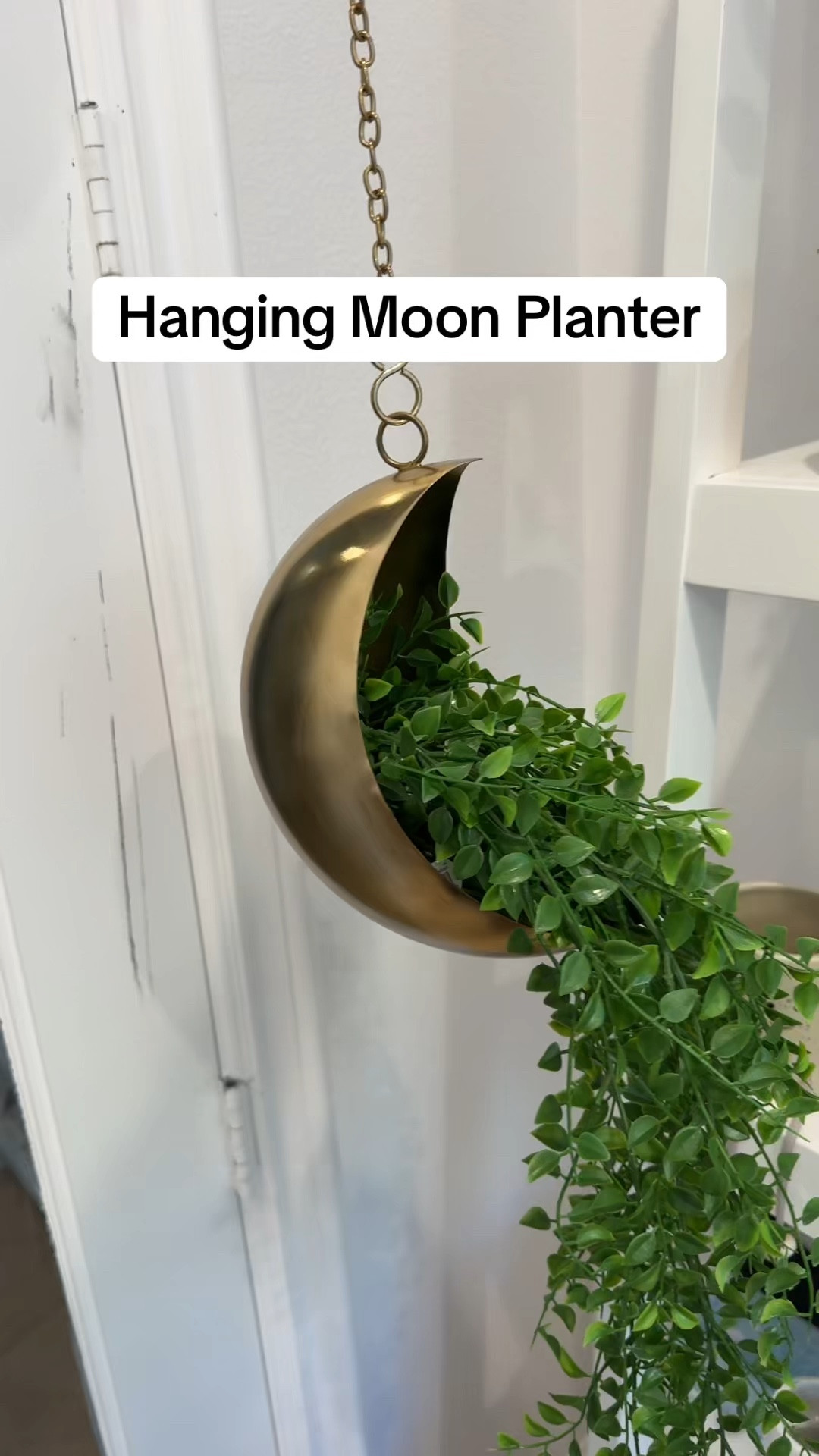 Gold Hanging Moon Planter 

Add a touch of celestial charm to your home with this stunning gold hanging moon planter 🌙✨. Perfect for succulents, air plants, or trailing greenery, this elegant planter doubles as décor, bringing a modern yet whimsical vibe to any space. Hang it in your living room, bedroom, or balcony for an instant style upgrade! 🪴 #MoonPlanter #HangingDecor #PlantLover #cottagecore #hangingmoon #goldhangingmoon

#LTKHome