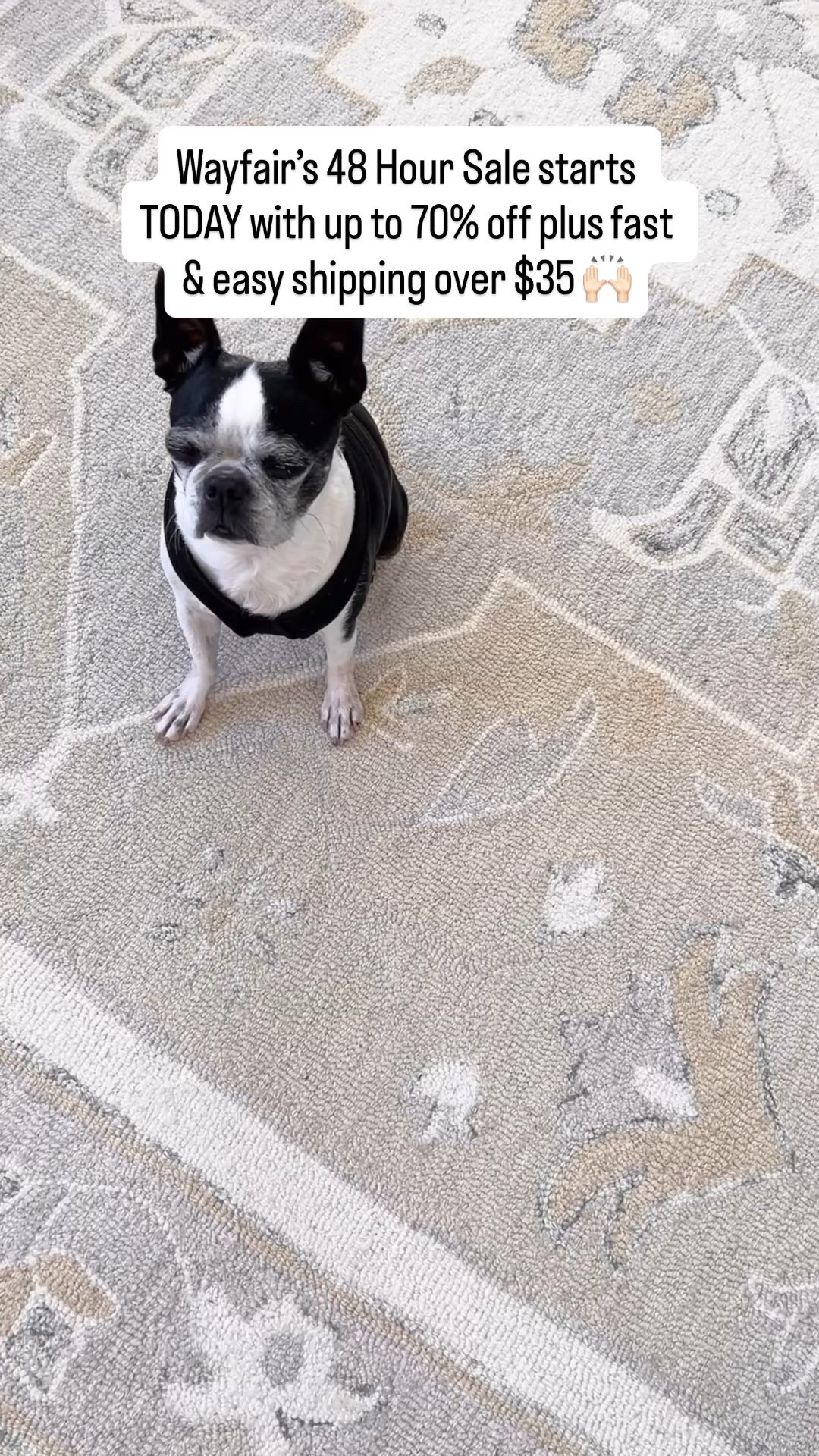 @Wayfair's 48 Hour Sale starts today! With up to 70% off and fast & easy delivery on orders over $35, now’s the time to cozy up your home for fall with a new rug like one of these beauties! 🙌🏻 #wayfair @wayfairpartner

#LTKHome #LTKSaleAlert #LTKFindsUnder100