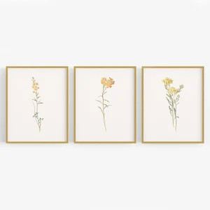 Yellow Wildflower Botanical Art Prints - Set of Three | Etsy (Global)