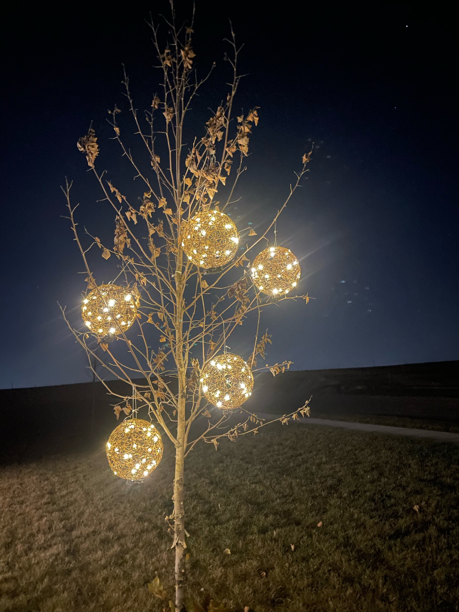 And last night hung the twine balls in the one tiny little tree in our front yard at our new house! 😂

#LTKHoliday #LTKSeasonal #LTKhome