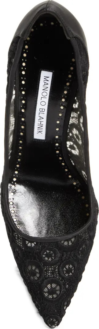 BB Lace Pointed Toe Pump (Women) | Nordstrom