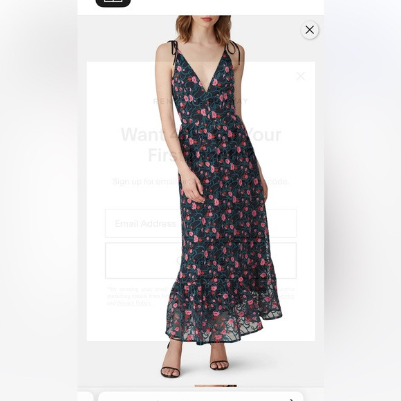 Dress the Population embroiderd dress | Poshmark