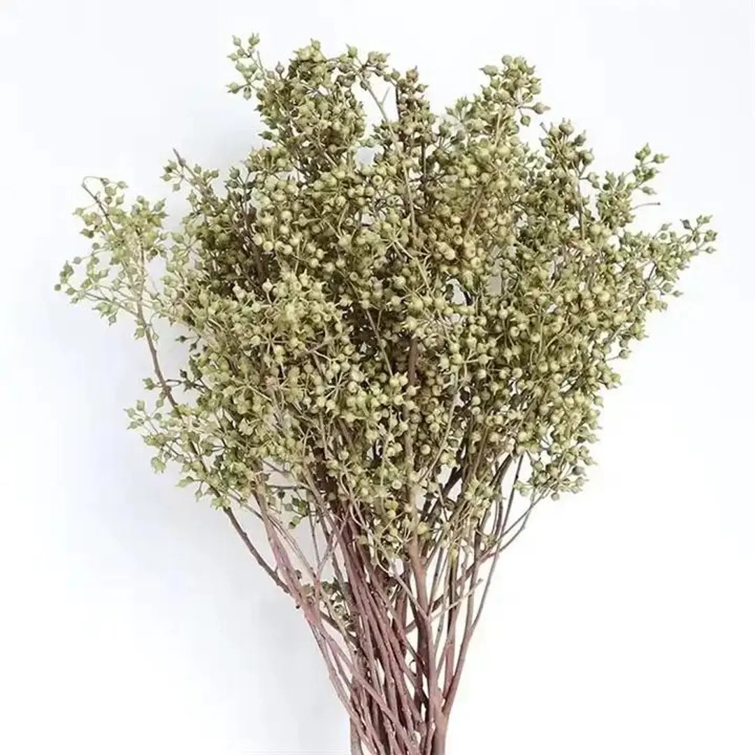 Eucalyptus Seeded Natural 5 Branches 22 Natural Dried Flower for Rustic, Boho, and Farmhouse Deco... | Etsy (US)