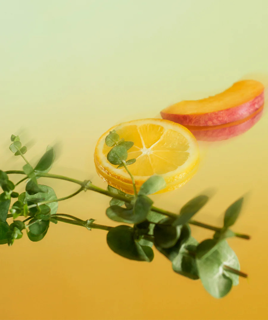 The Hotel | AromaTech