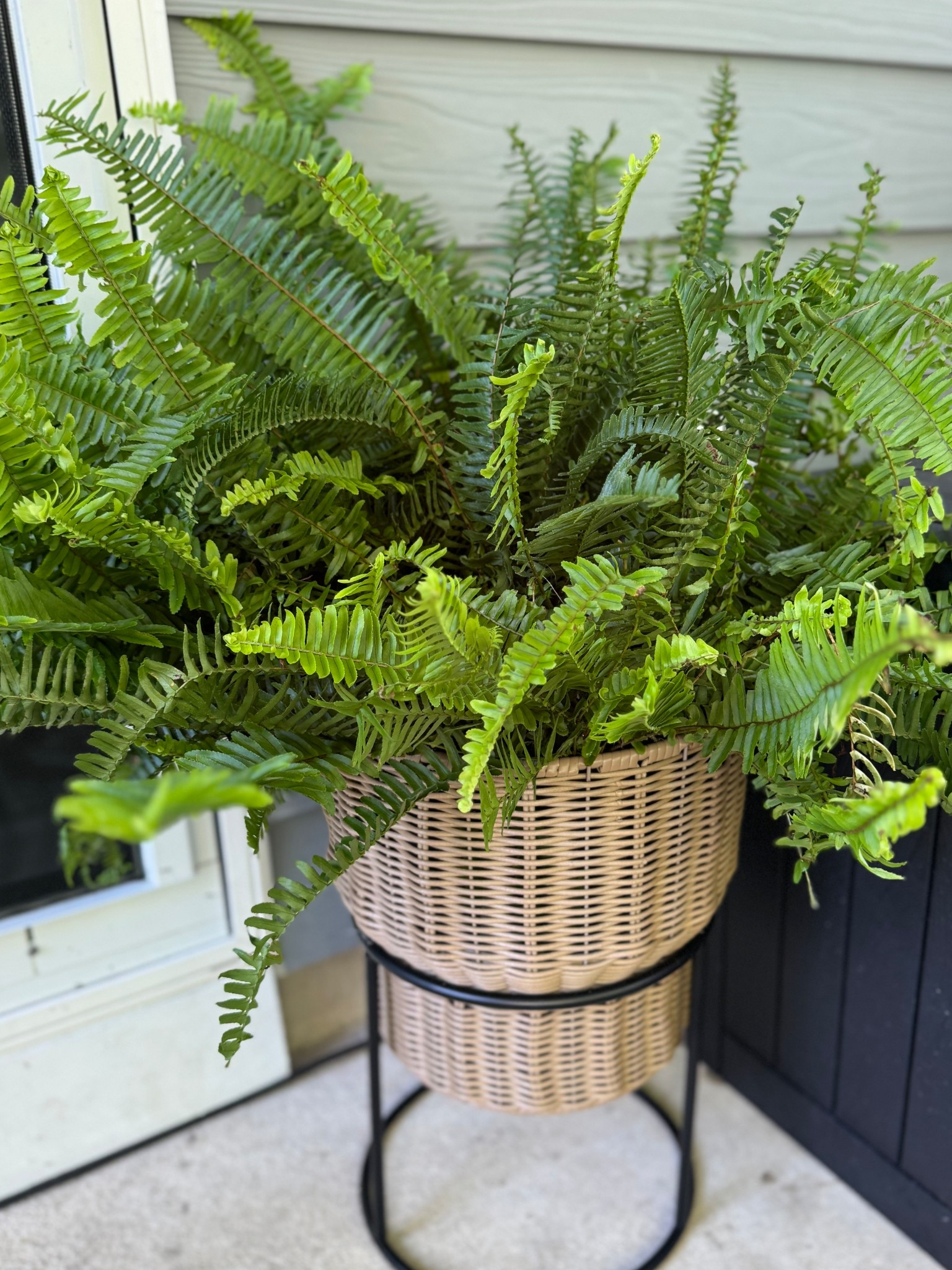 Loving this Walmart plant stand for the patio! 

#LTKSeasonal #LTKHome #LTKFindsUnder50