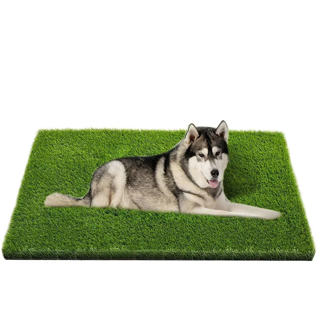 Artificial Grass Turf, Professional Dog Grass Mat, Potty Training Rug and Replacement Outdoor Rug Patio Lawn Decoration, Easy to Clean with Drainage Holes(47.3x31.5 inches) | Amazon (US)