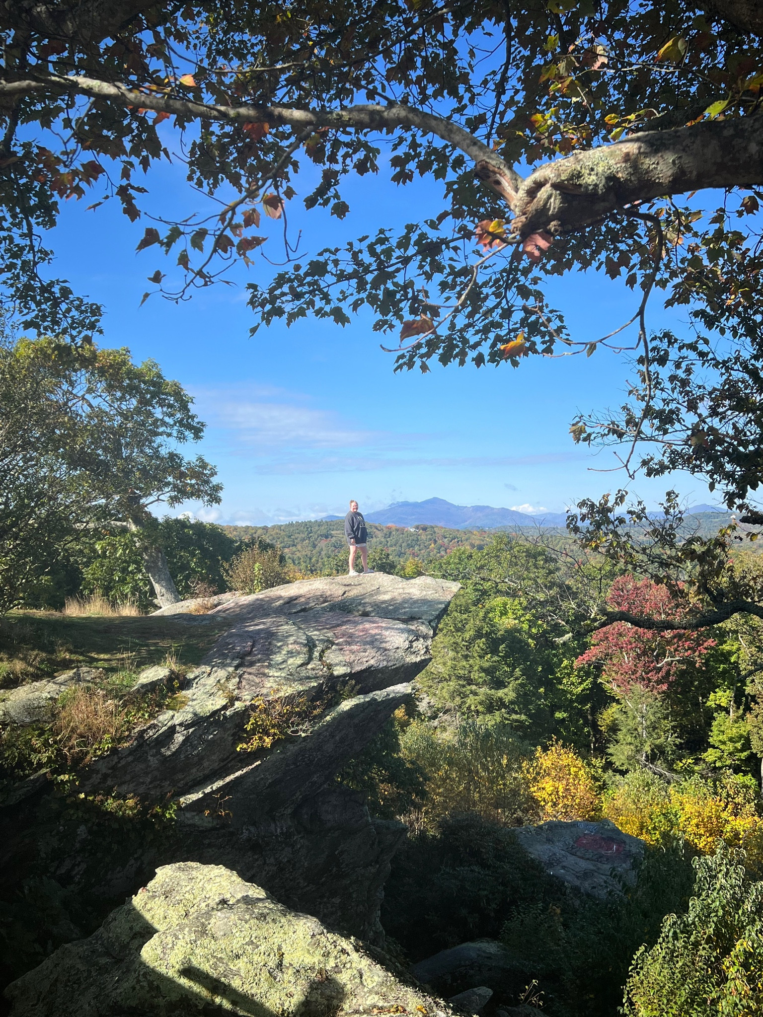 #LTKStyleTip #LTKMidsize #LTKFindsUnder100