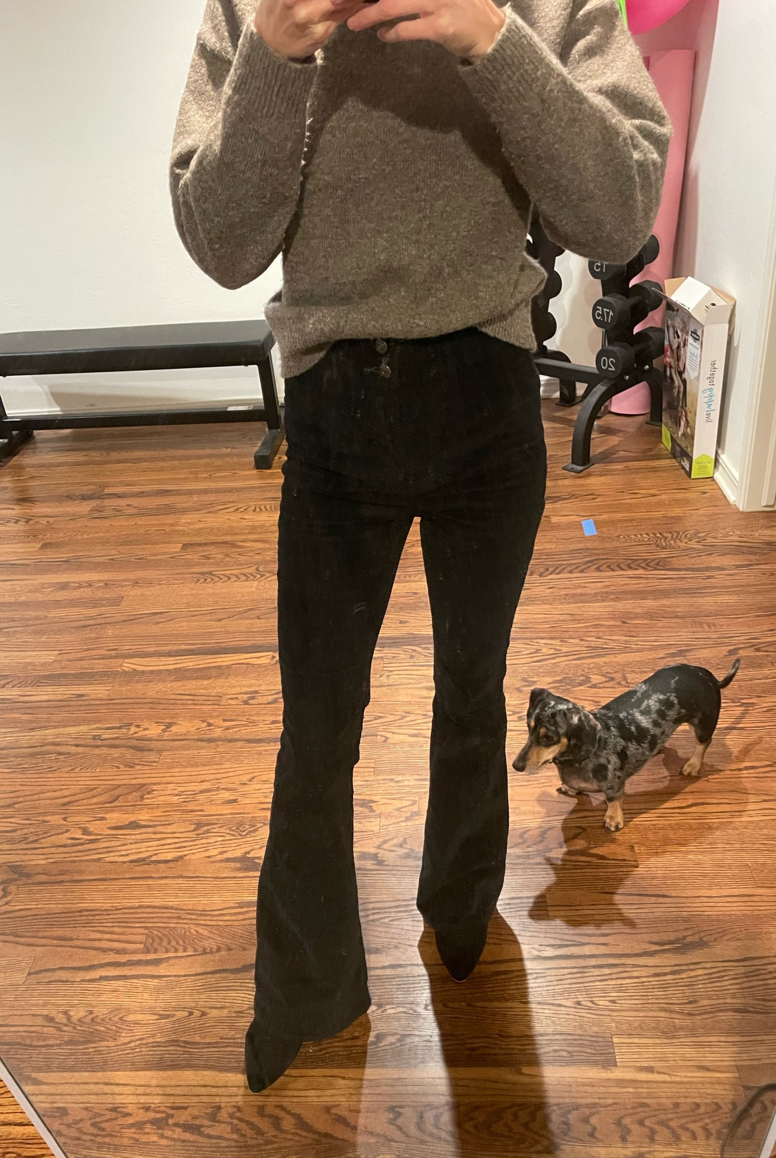 Flare pants, corduroy flares, corduroy, fall pants, winter, winter outfit, warm outfit, party pants, holiday party

#LTKHoliday #LTKSeasonal #LTKunder100