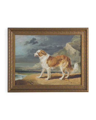 24x30 Orante Framed Collie Framed Wall Art | TJ Maxx
